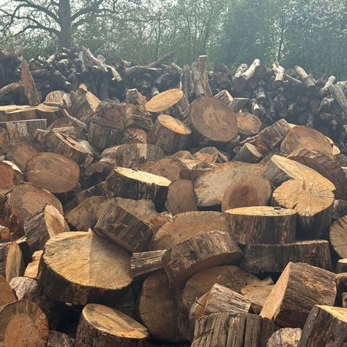 Amersham log pile
